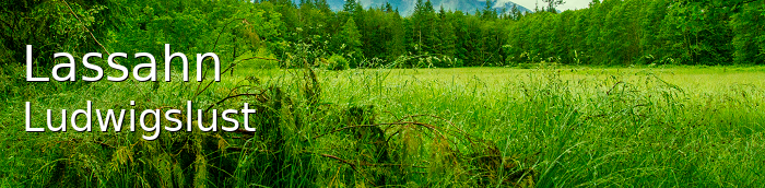 Lassahn Landkreis Ludwigslust Lassahn