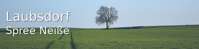 Laubsdorf Landkreis Spree-Neiße Laubsdorf