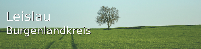Leislau Burgenlandkreis Leislau