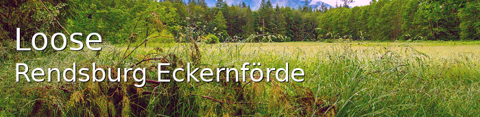 Loose Landkreis Rendsburg-Eckernförde Loose Dorf