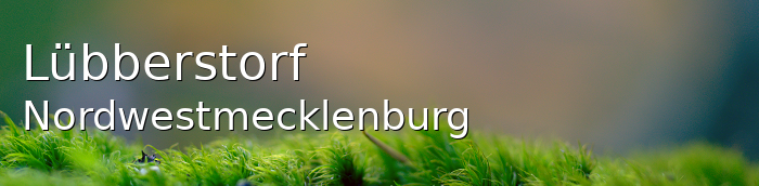 Lübberstorf Landkreis Nordwestmecklenburg Lübberstorf Kleines Dorf