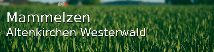 Mammelzen Landkreis Altenkirchen-Westerwald Mammelzen Großes Dorf