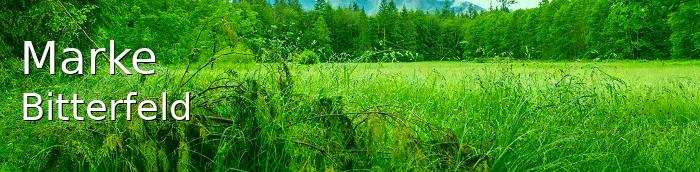 Marke Landkreis Bitterfeld Marke