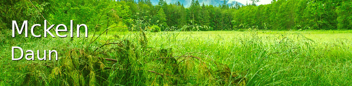 Mckeln Kleines Dorf