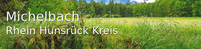 Michelbach Rhein-Hunsrück-Kreis Michelbach Kleines Dorf