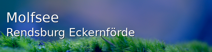 Molfsee Landkreis Rendsburg-Eckernförde Molfsee Landstadt