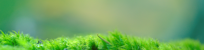 Neckartailfingen Landkreis Esslingen Neckartailfingen Landstadt