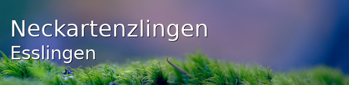 Neckartenzlingen Landkreis Esslingen Neckartenzlingen Große Landstadt