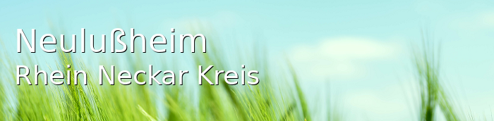 Neulußheim Rhein-Neckar-Kreis Neulußheim Große Landstadt