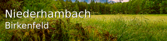 Niederhambach Landkreis Birkenfeld Niederhambach Kleines Dorf
