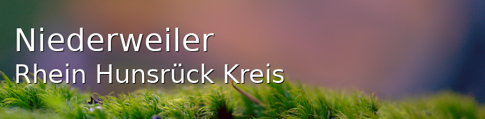 Niederweiler Rhein-Hunsrück-Kreis Niederweiler Kleines Dorf