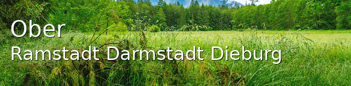 Ober-Ramstadt Landkreis Darmstadt-Dieburg Ober-Ramstadt Kleinstadt