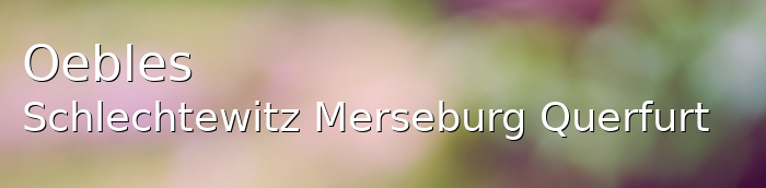 Oebles-Schlechtewitz Landkreis Merseburg-Querfurt Oebles-Schlechtewitz