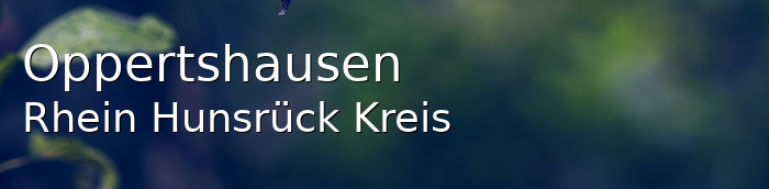 Oppertshausen Rhein-Hunsrück-Kreis Oppertshausen Kleines Dorf
