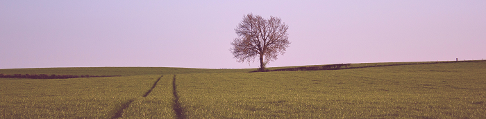 Ostrach Landkreis Sigmaringen Ostrach Gro?e Landstadt