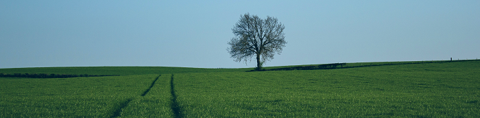 Ottobeuren Gro?e Landstadt