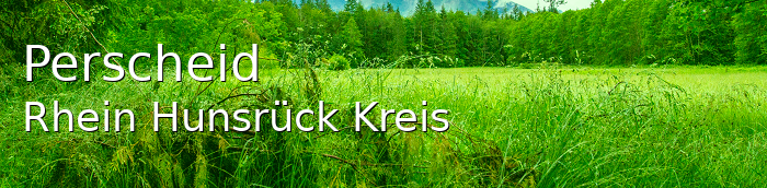 Perscheid Rhein-Hunsrück-Kreis Perscheid Kleines Dorf