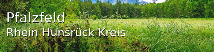 Pfalzfeld Rhein-Hunsrück-Kreis Pfalzfeld Dorf