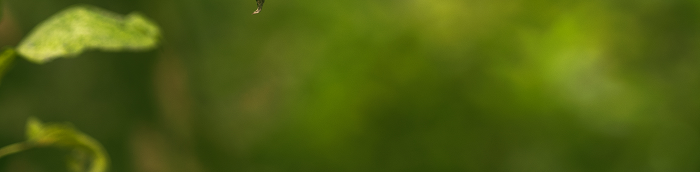 Prinzenmoor Kleines Dorf