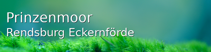 Prinzenmoor Landkreis Rendsburg-Eckernförde Prinzenmoor Kleines Dorf