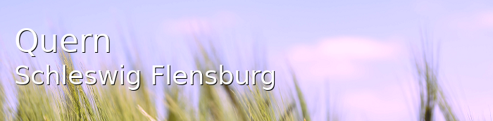 Quern Landkreis Schleswig-Flensburg Quern Großes Dorf