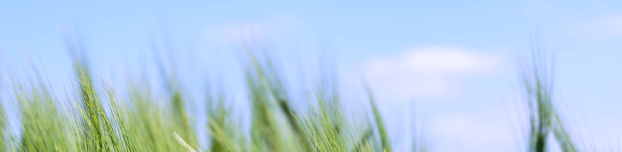 Rehlingen-Siersburg Kleinstadt