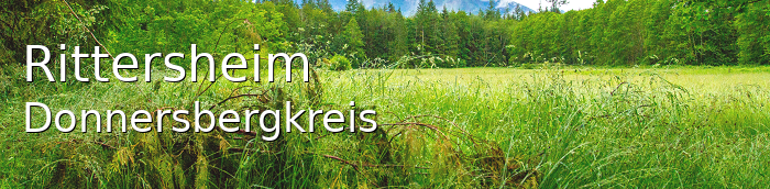 Rittersheim Donnersbergkreis Rittersheim Kleines Dorf