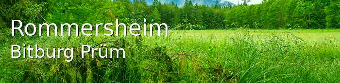 Rommersheim Landkreis Bitburg-Prüm Rommersheim Dorf