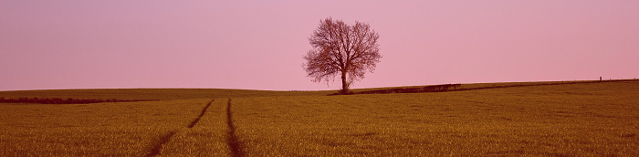 Saarbr?cken Kleine Gro?stadt