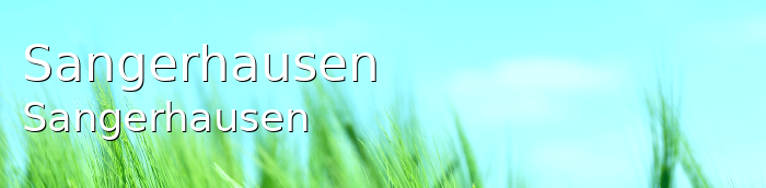 Sangerhausen Landkreis Sangerhausen Sangerhausen Kleine Mittelstadt