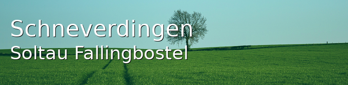 Schneverdingen Landkreis Soltau-Fallingbostel Schneverdingen Kleinstadt
