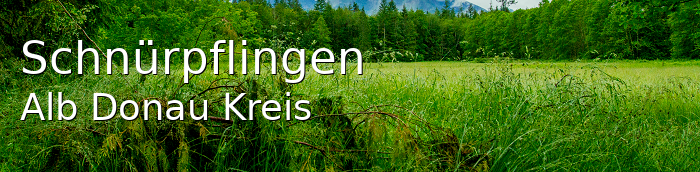 Schnürpflingen Alb-Donau-Kreis Schnürpflingen Großes Dorf