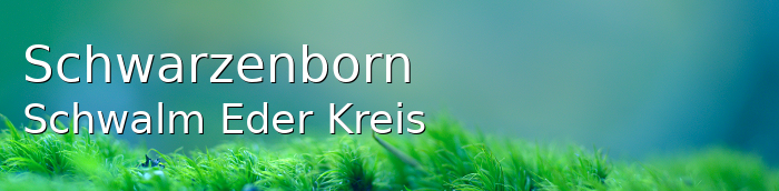 Schwarzenborn Schwalm-Eder-Kreis Schwarzenborn Großes Dorf