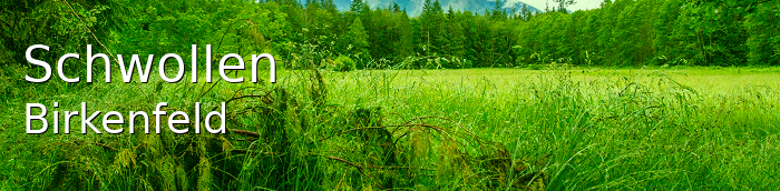 Schwollen Kleines Dorf