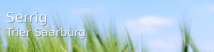 Serrig Landkreis Trier-Saarburg Serrig Großes Dorf