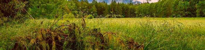 Sexau Landkreis Emmendingen Sexau Landstadt