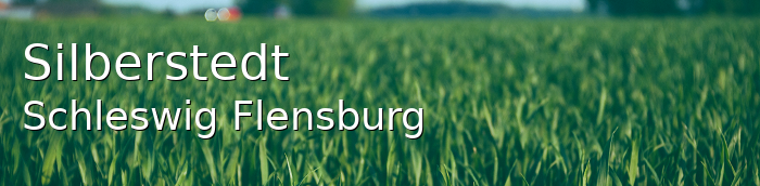 Silberstedt Landkreis Schleswig-Flensburg Silberstedt Landstadt