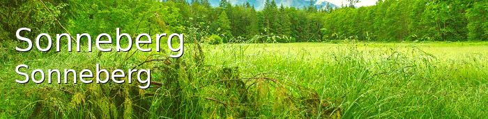 Sonneberg Landkreis Sonneberg Sonneberg Kleine Mittelstadt