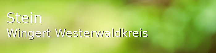 Stein-Wingert Westerwaldkreis Stein-Wingert Kleines Dorf