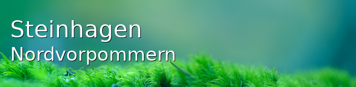 Steinhagen Landkreis Nordvorpommern Steinhagen Kleinstadt