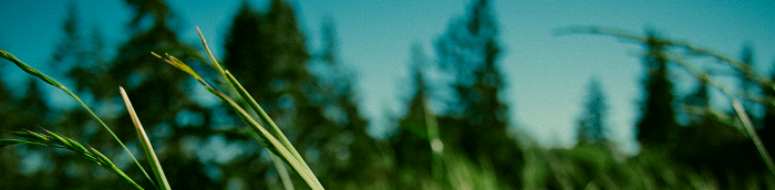 Thei?en Burgenlandkreis Thei?en