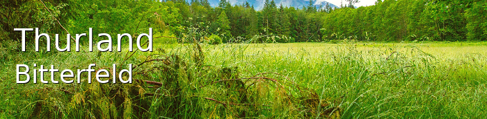 Thurland Landkreis Bitterfeld Thurland