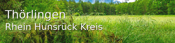 Thörlingen Rhein-Hunsrück-Kreis Thörlingen Kleines Dorf