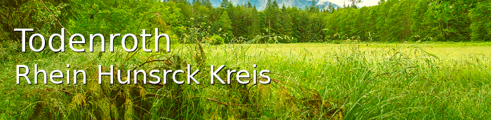 Todenroth Kleines Dorf
