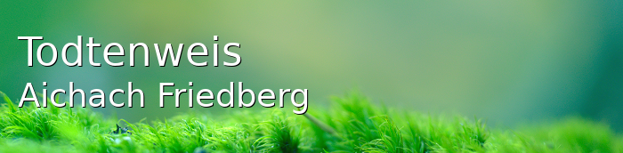 Todtenweis Landkreis Aichach-Friedberg Todtenweis Großes Dorf