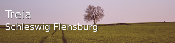 Treia Landkreis Schleswig-Flensburg Treia Großes Dorf