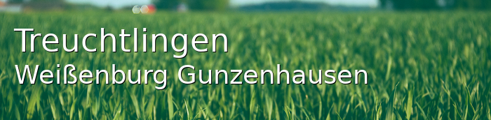 Treuchtlingen Landkreis Weißenburg-Gunzenhausen Treuchtlingen Kleinstadt
