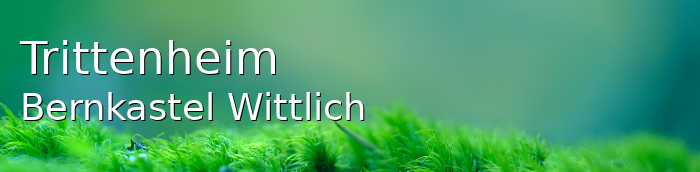Trittenheim Groes Dorf