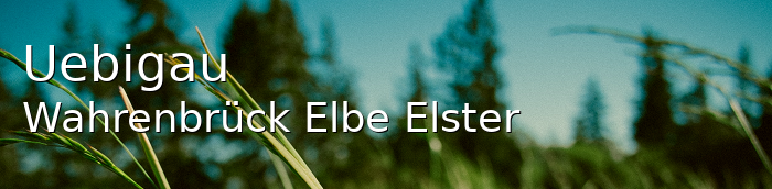 Uebigau-Wahrenbrück Landkreis Elbe-Elster Uebigau-Wahrenbrück Große Landstadt