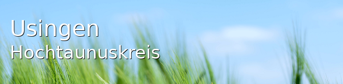 Usingen Hochtaunuskreis Usingen Kleinstadt